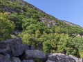 Image file: photo01.jpg