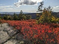 Image file: photo03.jpg