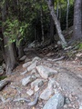 Image file: photo12.jpg