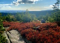 Image file: _1/photo15.jpg
