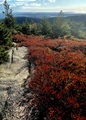 Image file: _1/photo16.jpg