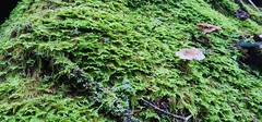 Image file: photo34.jpg