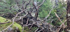 Image file: photo37.jpg