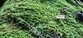 Image file: _2/photo34.jpg