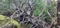 Image file: _2/photo37.jpg