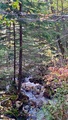 Image file: _2/photo39.jpg