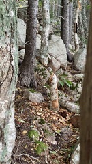 Image file: photo48.jpg