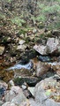 Image file: _3/photo41.jpg