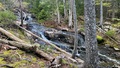 Image file: _3/photo42.jpg