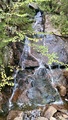 Image file: _3/photo43.jpg