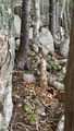 Image file: _3/photo48.jpg