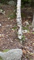 Image file: _3/photo53.jpg