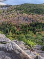 Image file: _1/photo11.jpg
