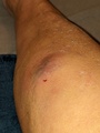 Image file: photo01.jpg