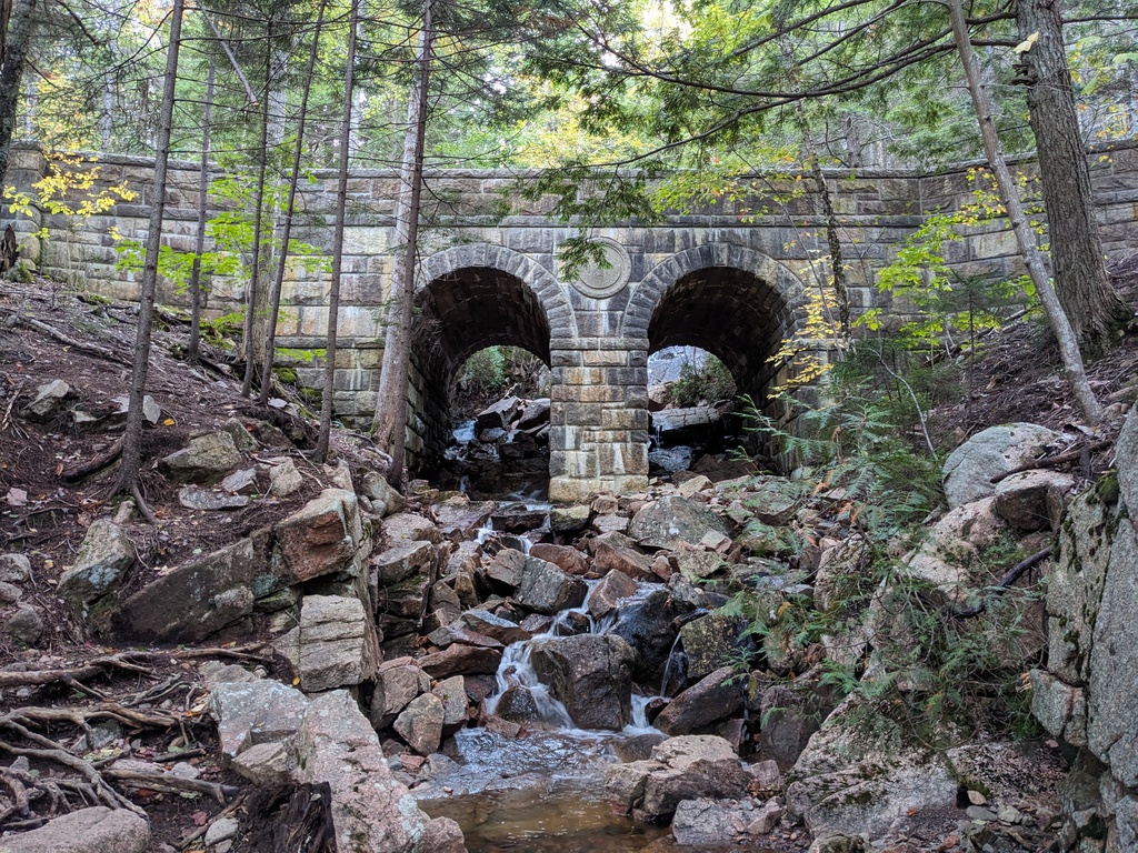 No description provided for: /2023/10-12/1009-erin-penobscot-mt/photo10.html
