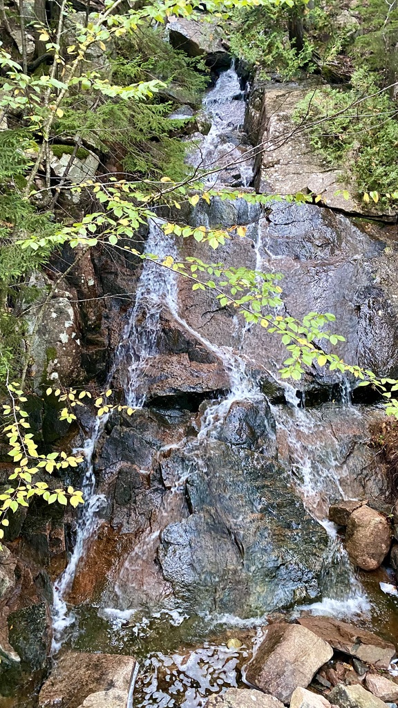 No description provided for: /2023/10-12/1009-kat-penobscot-mt/_3/photo43.html