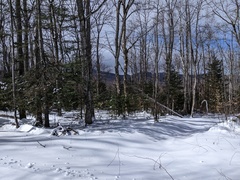 Image file: photo04.jpg
