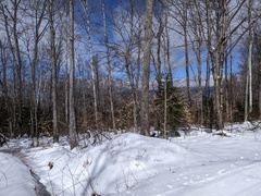 Image file: photo06.jpg