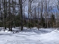 Image file: photo04.jpg