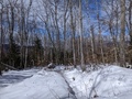 Image file: photo05.jpg