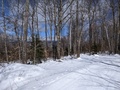 Image file: photo07.jpg