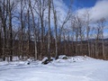 Image file: photo10.jpg