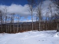 Image file: photo11.jpg