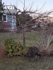 Image file: photo01.jpg