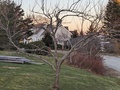 Image file: photo01.jpg