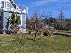 Image file: photo02.jpg