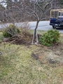 Image file: photo05.jpg