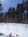 Image file: _1/photo02.jpg