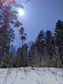 Image file: _1/photo03.jpg