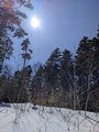 Image file: _1/photo07.jpg