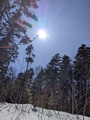 Image file: _1/photo09.jpg