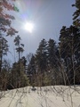 Image file: _1/photo11.jpg