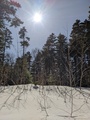 Image file: _1/photo12.jpg