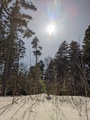 Image file: _1/photo14.jpg