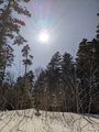 Image file: _1/photo15.jpg