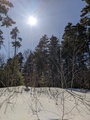 Image file: _2/photo16.jpg