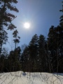 Image file: _2/photo17.jpg