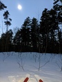 Image file: _2/photo19.jpg
