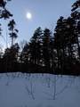 Image file: _2/photo21.jpg