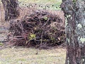 Image file: photo02.jpg