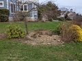 Image file: photo05.jpg