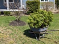 Image file: photo01.jpg