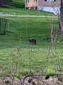 Image file: photo02.jpg
