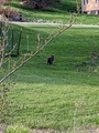 Image file: photo03.jpg