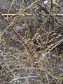 Image file: photo02.jpg