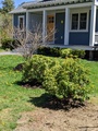 Image file: photo01.jpg